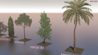 Porovnanie veľkostí stromov