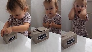 Malé dievčatko vs. čarovná škatuľka na peniaze