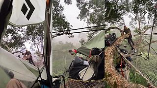 Spánok v korune vysokého stromu počas expedície v dažďovom pralese