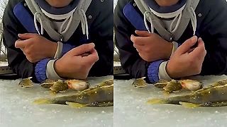 Špeciálna ruská metóda lovu rýb cez ľad