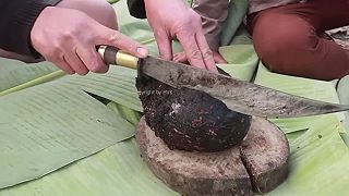 Vietnamská šmakuláda Nam Pia, varené tenké črevo bylinožravcov aj s jeho obsahom