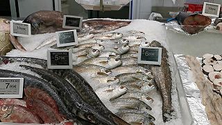 Ponuka atlantických rýb v obchode HiperDino v nákupnom cente Siam Mall