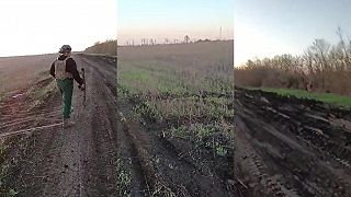 video Predčasné babie (optické) leto