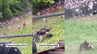 video Chcel naháňať dole kopcom syry, skončil však v bezvedomí (Gloucester)