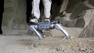 video Čínsky robot Unitree A2 Stellar Explorer zvládne každý terén, odnesie 30 kg