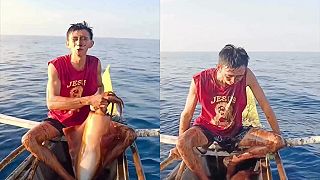 video Čo sa ti môže stať, keď lovíš kalamáre?