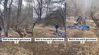 video Jeleň sa parohmi zachytil o hojdačku, ľudia mu nakoniec pomohli