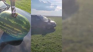 video Melón vs. obrovská ruská Z petarda