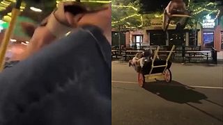 video Keď si objednáš dvojnohého koníka