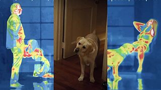 video Scéna z komédie Bláznivá strela (2025) s Pamelou Andersonovou a Liamom Neesonom