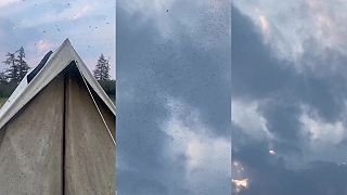 video Chlapci, stanovačku si určite užijeme!