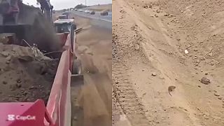 video Nezvratný osud: POTKAN