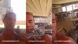 video A toto je môj obľúbený holub