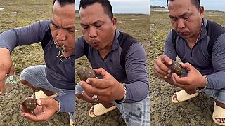 video Dávno ste negrcali? Tak teraz budete!