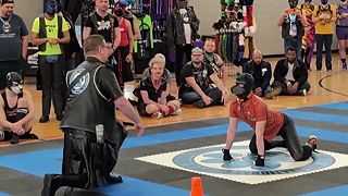 video Identifikuješ sa ako pes? Toto sa ti bude páčiť!