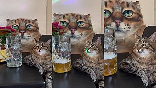 video Konečne piatoček, poprosím jedno PIVEČKO!