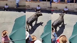 video Chlape, ty máš teda poriadnu odvahu!