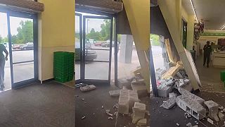 video Taká bežná americká „opičiareň”