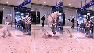 video Na ten eskalátor ma nedostaneš do psej matere!