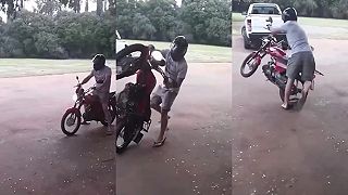 video Frigo opäť ukázal svoj talent