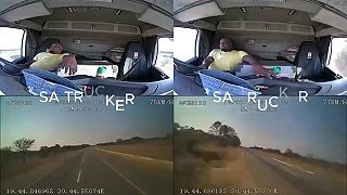 video Šéfe, máme problém, trošku som si pospal počas jazdy