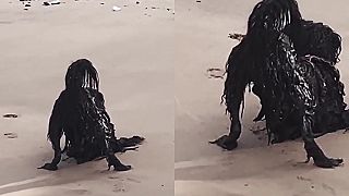 video Monštrum na pláži