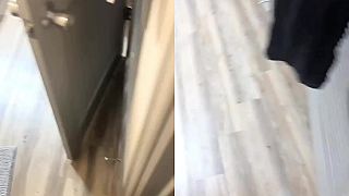 video Človek sa nemôže ani vy*rať, keď žije s touto mačkou