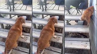 video Život je už raz taký, občas ťa stiahne dole