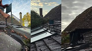 video A teraz vám ukážem, ako správne nastražiť pascu na kuny