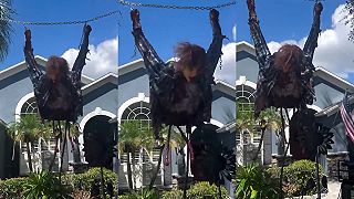 video Naozaj originálna a strašidelná halloweenska dekorácia