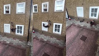 video Parkourový bezmozog dňa