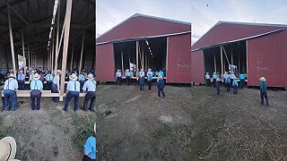 video A takto americkí Amiši sťahujú stodoly