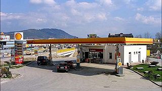 video Gavalier nevie kde je Shellka