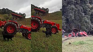 video Farmár na traktore podcenil terén, mal šťastie, že dokázal vyskočiť