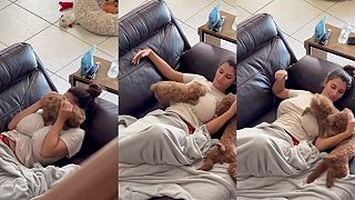 video Aké milé zlaté psíky!