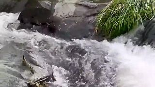 video No deťúrence moje, je to takto jednoduché!