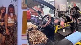 video Leopardí vzor je stále v móde!