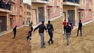 video Behom chvíľky sa stal miláčikom davu