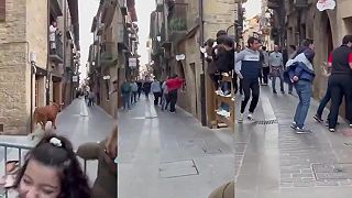 video Rohatá návšteva (Álava, Španielsko)
