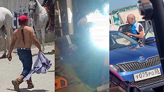 video Nedeľná WTF kompilácia #5