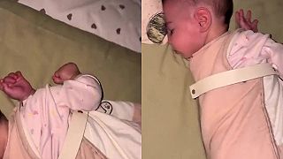 video A čo sa nám narodila sova?