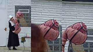 video Neviete, čo je to za hudobný nástroj?