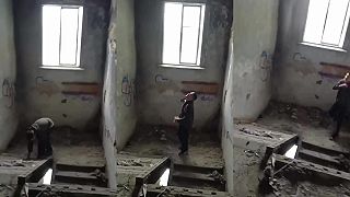 video A Darwinovu cenu za rok 2025 získava ...