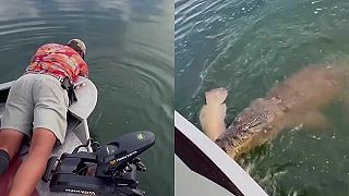 video Pekný sumec, už ho len vytiahnem na palubu!