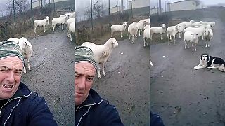 video EVERYBODY! YEAH!