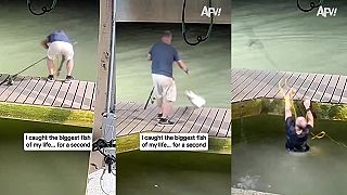 video Na chvíľu chytil svoju najväčšiu rybu života