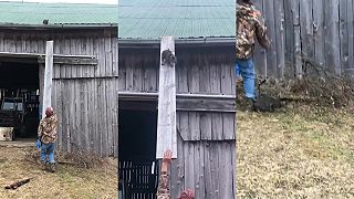 video Tá mačka opäť nevie zliezť z tej strechy