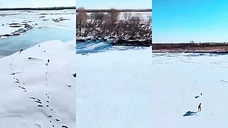 video Asi najnapínavejšia naháňačka točená z dronu, akú som kedy videl