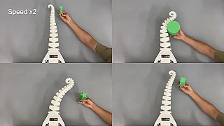 video SpiRobs: robotické ramená v tvare logaritmickej špirály na uchopenie objektov