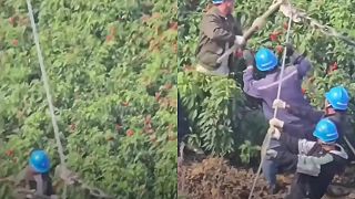 video A vy len držte najpevnejšie, ako len viete!